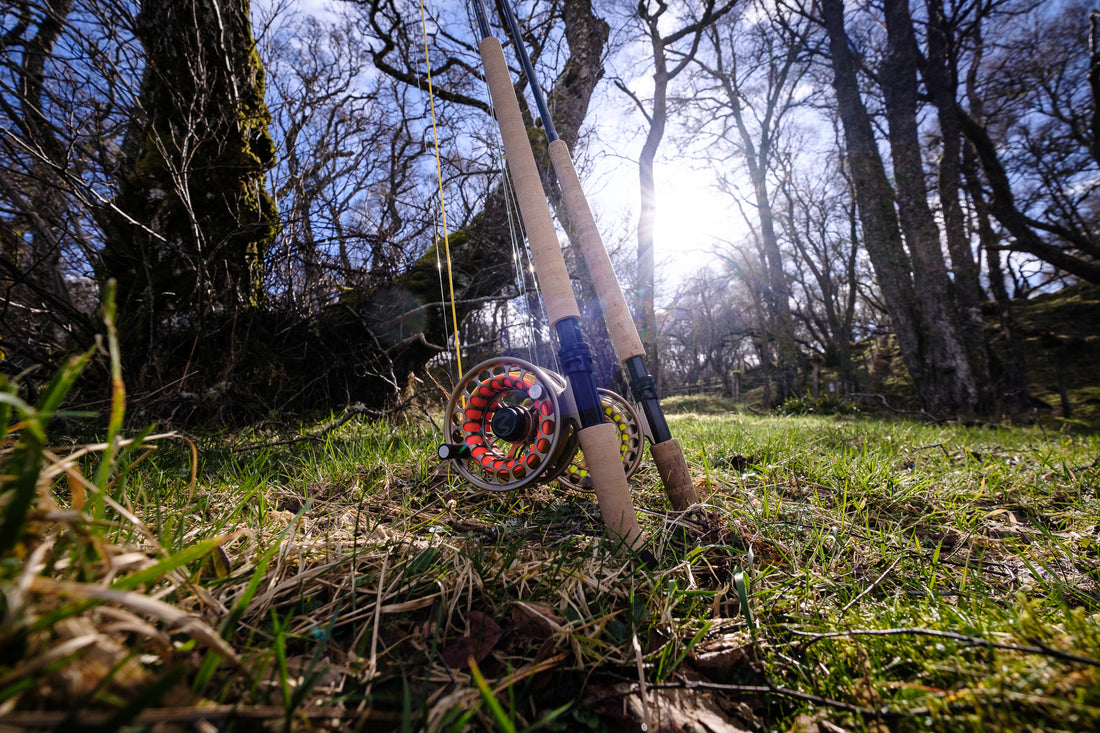 The Invictus reels